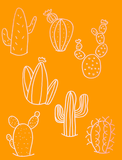 Drawing of different cactus